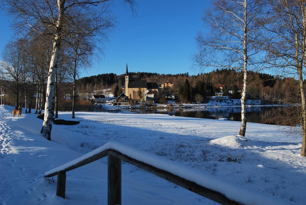 Penzion Vyton Hotel Predni Vyton Luaran gambar